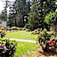Park Motel and Cabins
