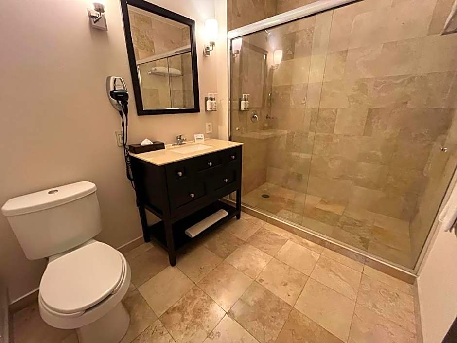 Holiday Inn Mexico Santa Fe By IHG