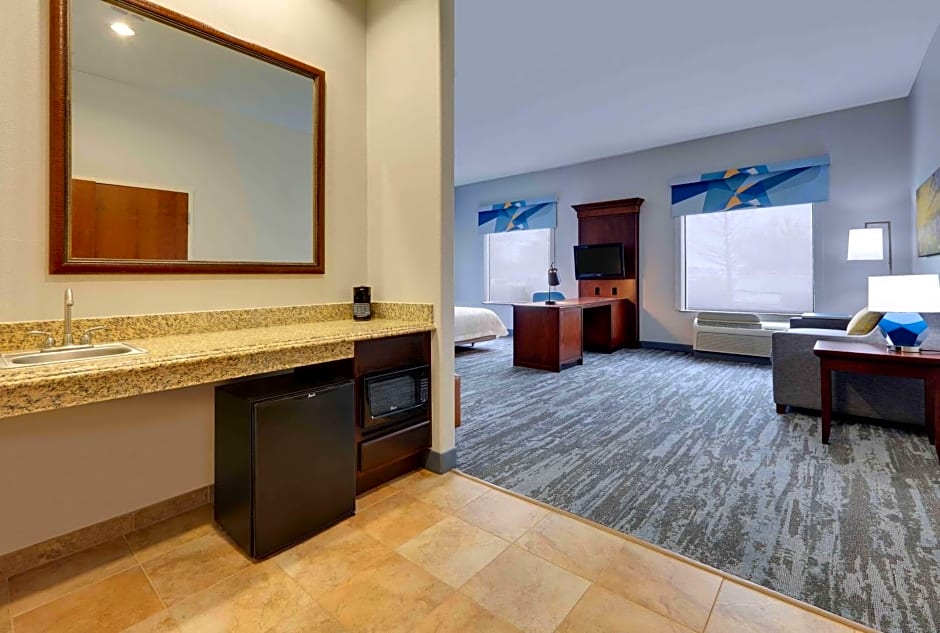 Hampton Inn By Hilton & Suites Dallas-Arlington-South