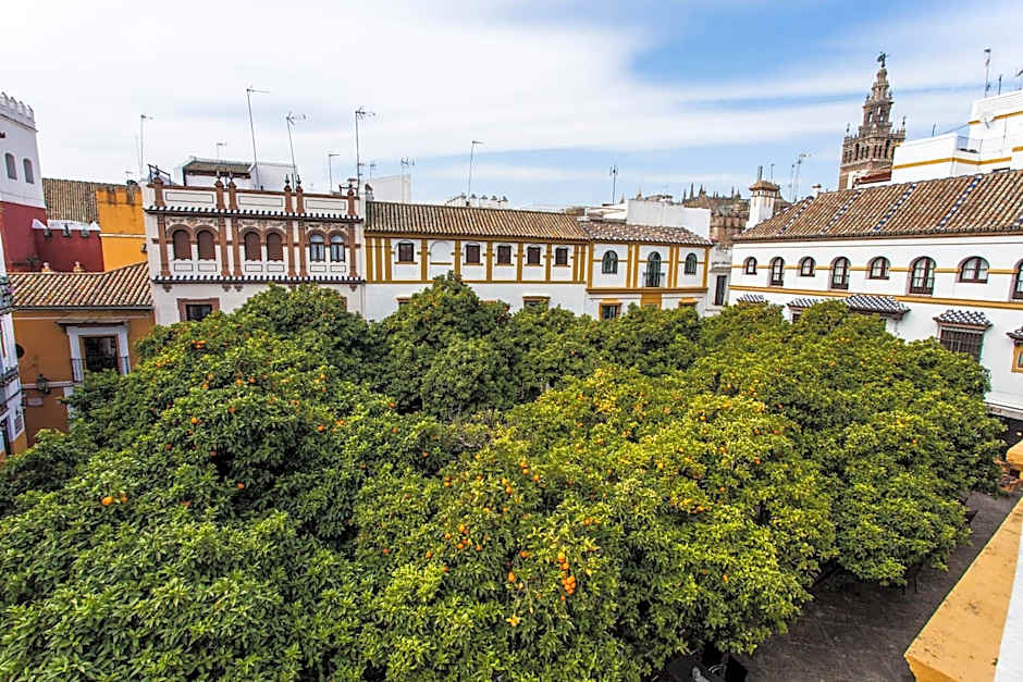 Hotel Boutique Elvira Plaza