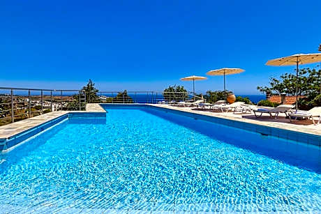 Rafkos Mansion with Private Pool and Amazing View