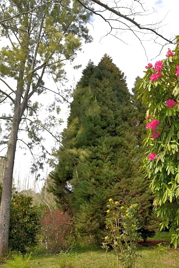 Quinta D'Avó Amélia