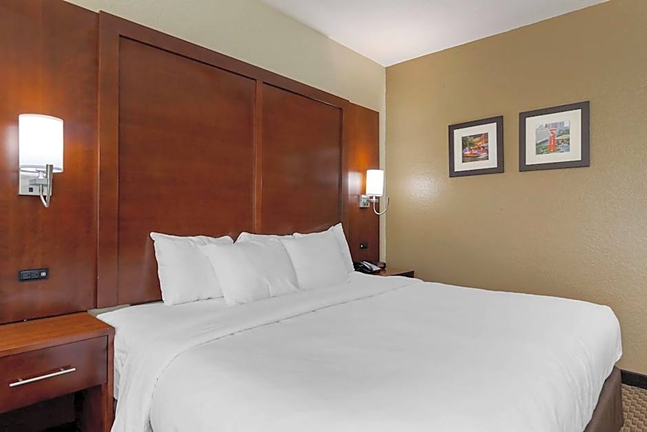 Comfort Inn & Suites Near Six Flags & Medical Center