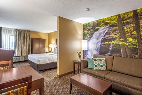 1 King Bed Suite Nonsmoking