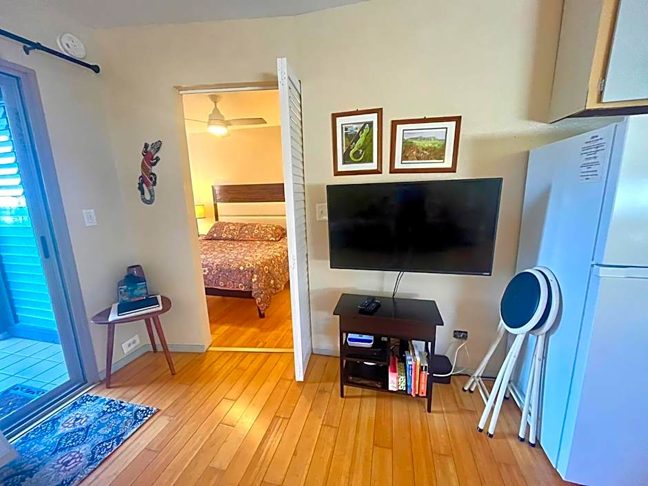 Beachfront 1 Bedroom Condo with Private Beach, Pool, Hot Tub