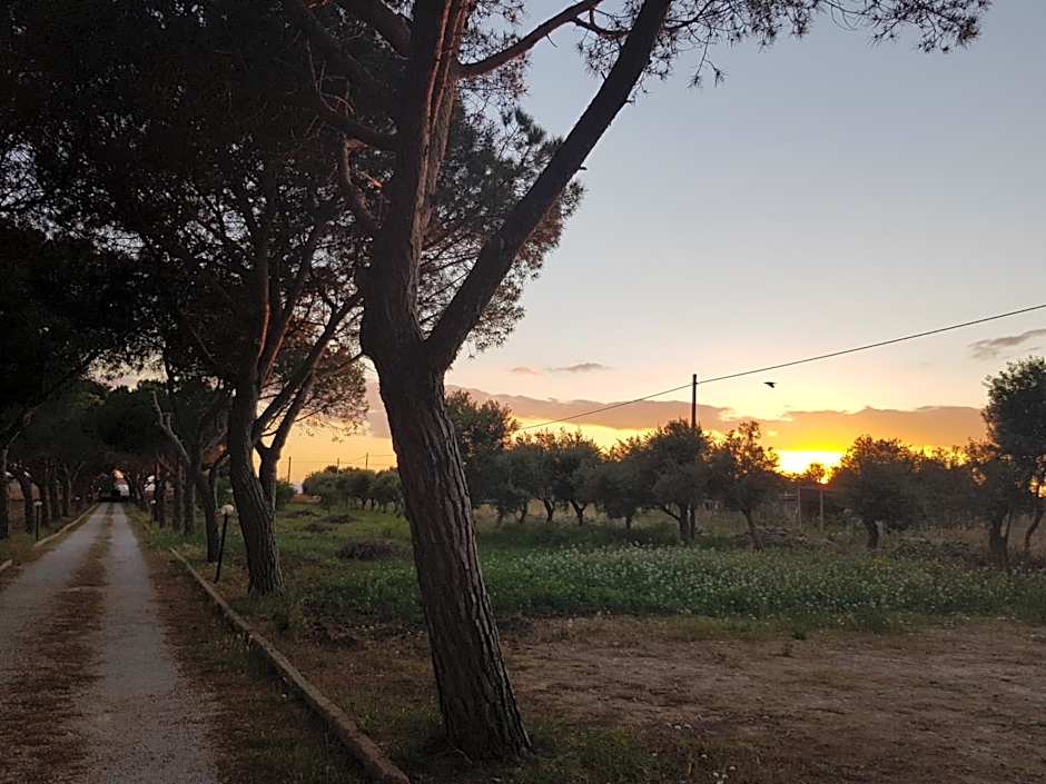 Turtle Island Apartments