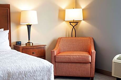 King Room with King Bed - Non-Smoking