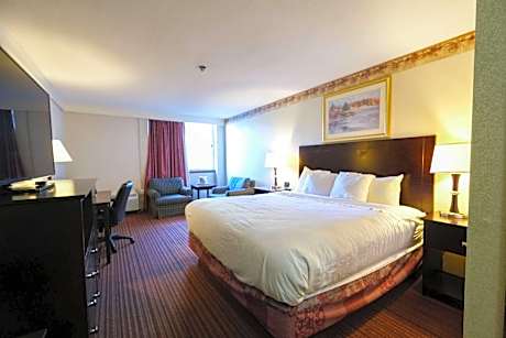 Superior King Room