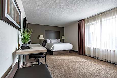 Queen Room - Disability Access - Non-Smoking