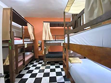 Bed in 6-Bed Dormitory Room