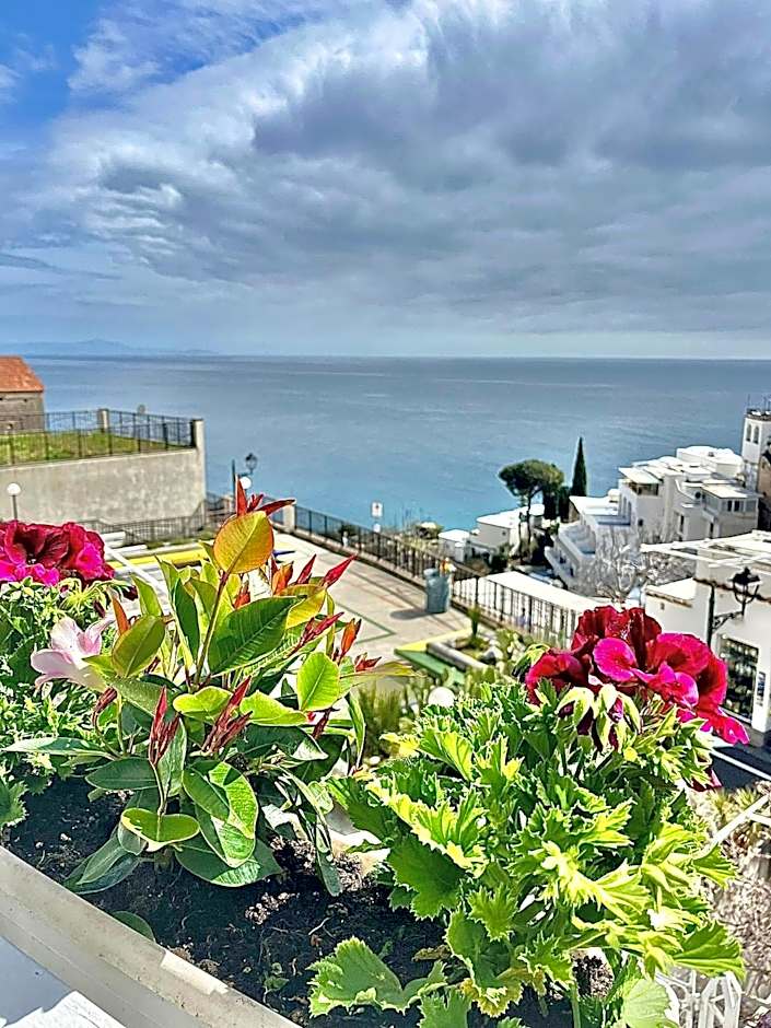 Hotel Villa Delle Palme in Positano