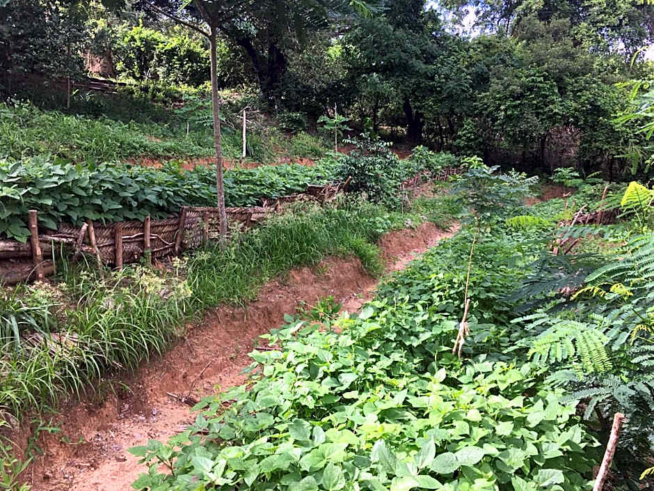 Distant Relatives Ecolodge & Backpackers