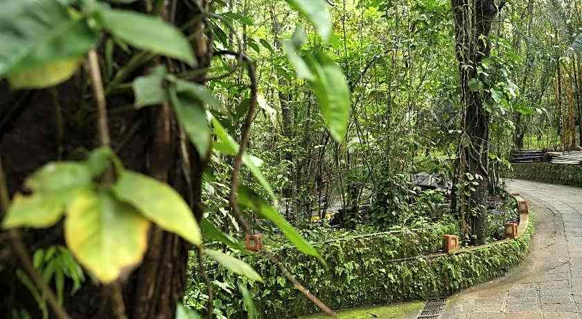 Wayanad Silverwoods Forest Resort and Spa