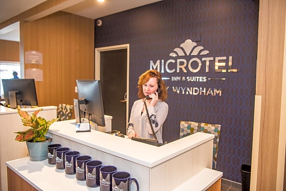 Microtel Inn & Suites by Wyndham Carlisle