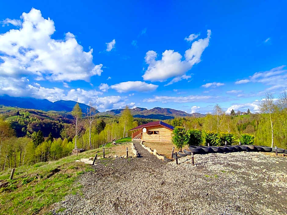 Cabana doi mesteceni