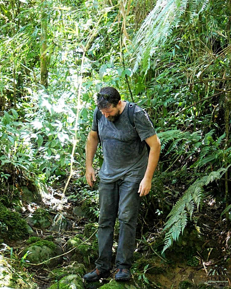 IVOS Hostel & Camping