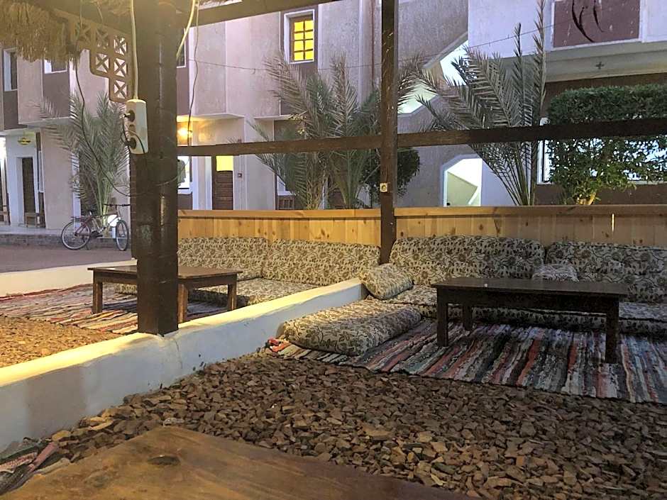 Oasis Fighting Kangaroo