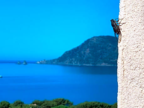Appart vue mer panoramique magique