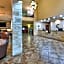 Comfort Suites Arlington - Entertainment District