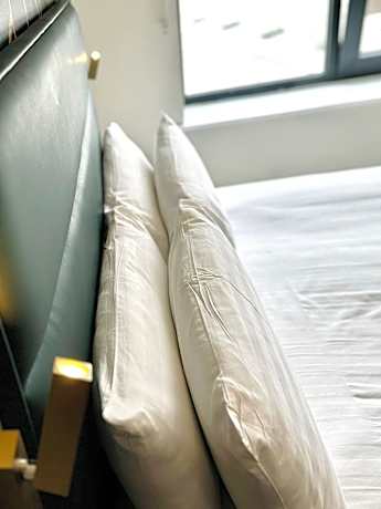 Standard Triple Studio