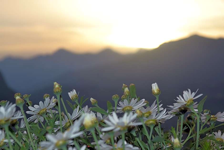 Hotel Le Grand Chalet Gstaad