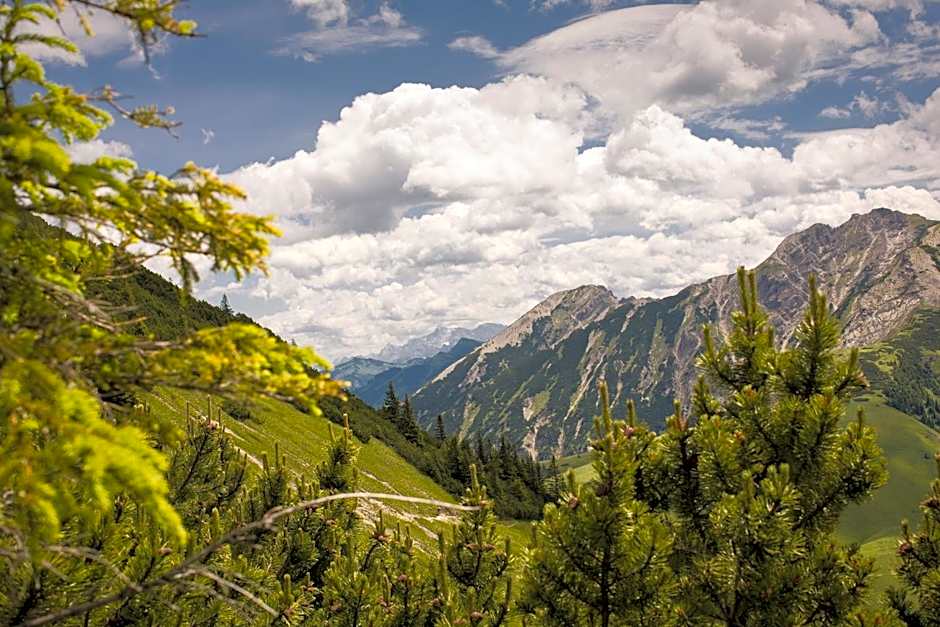 Alpin Chalets Oberjoch