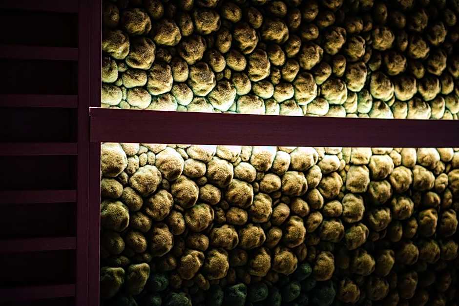 Fabesca Boutique Hotel & SPA