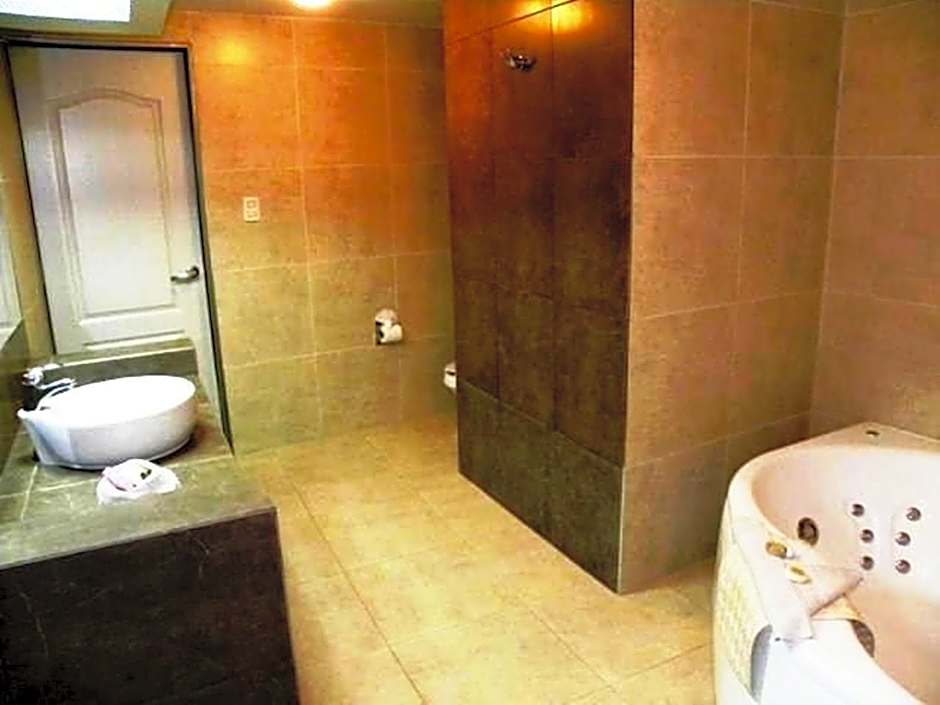 Hotel San Francisco Irapuato Business Class