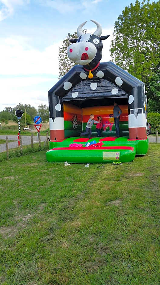 de Brabantse Biesbosch