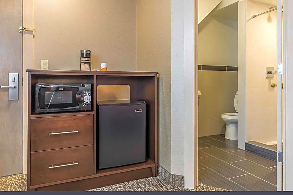 Rodeway Inn Chicago-Evanston