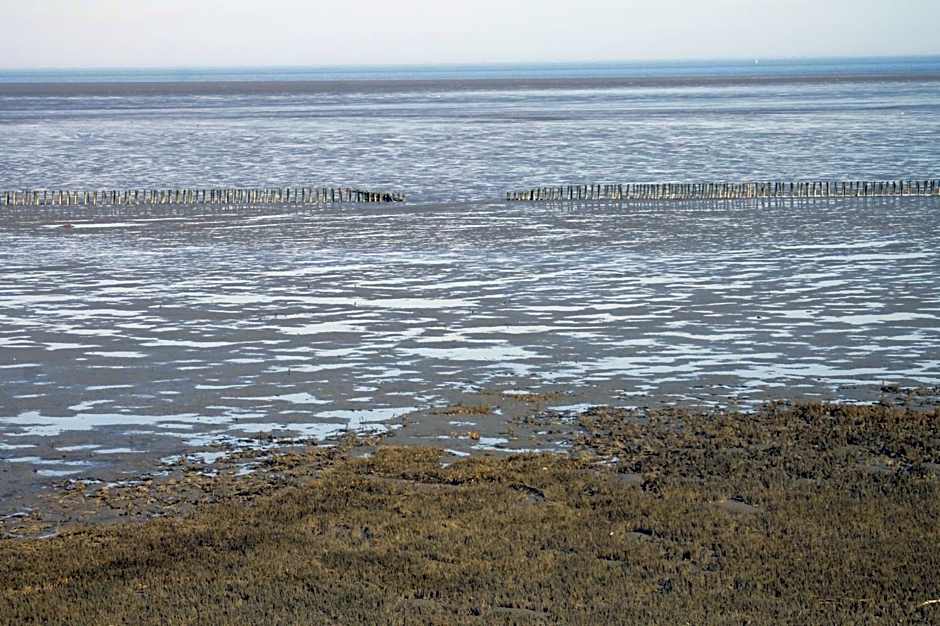 Hotel Schwarzer Adler Jever