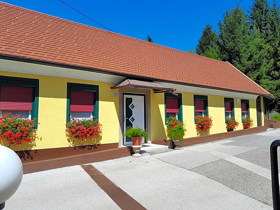 Hotel Pri Belokranjcu