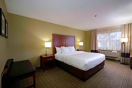 One Room Suite with Whirlpool - Non Smoking