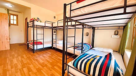 Deluxe 6-Bed Mixed Dormitory