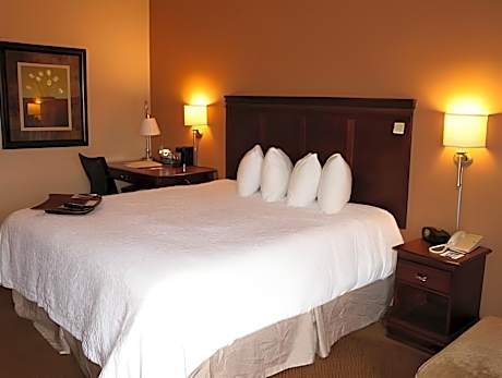 1 King Bed Nonsmoking