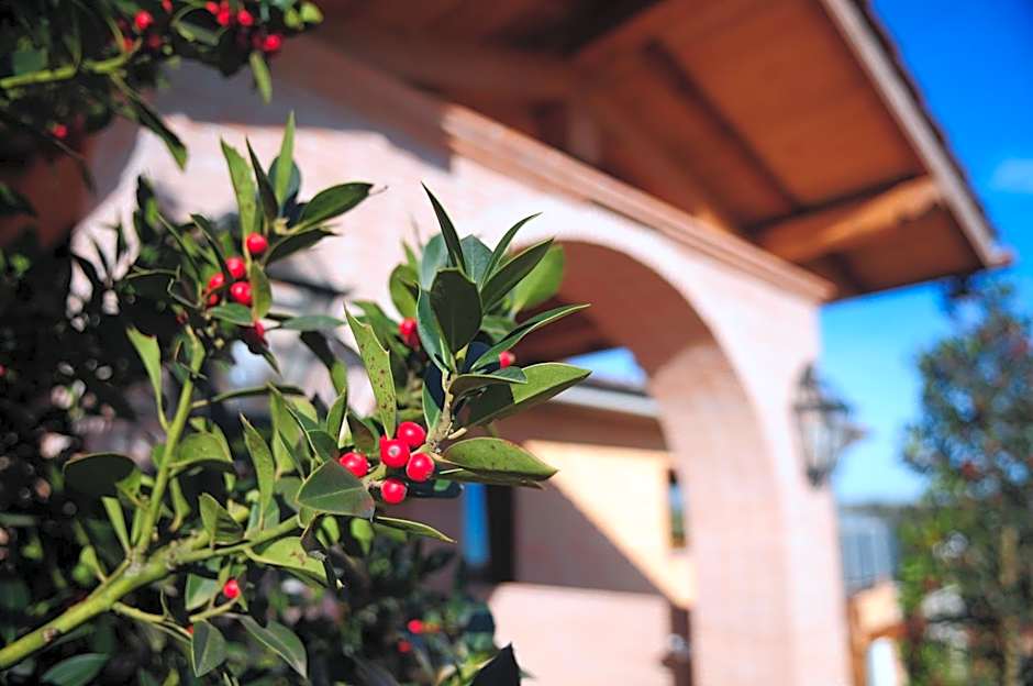 Poggio dei cavalieri