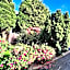 Ashfield Bed & Breakfast
