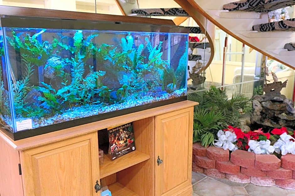 Schooner II Beach and Racquet Club