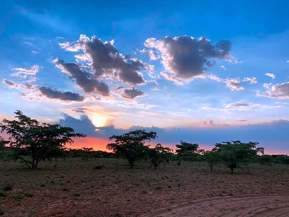 Kigeni Safari Lodge & Spa