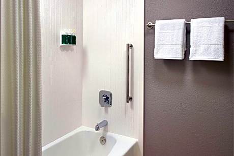 Room, 1 King Bed (Mobility Accessible, Tub) (1 King Bed)