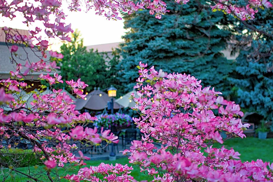 Mirabeau Park Hotel