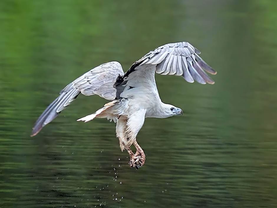 Arthur River Holiday Units