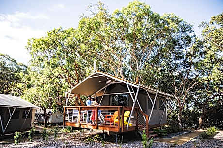 Port Stephens Koala Sanctuary