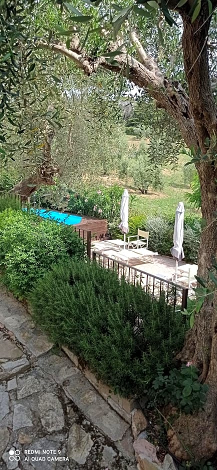 Amore a prima vista b&b