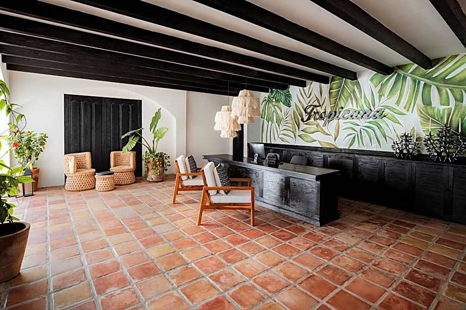 Tropicana Los Cabos, Tapestry Collection by Hilton