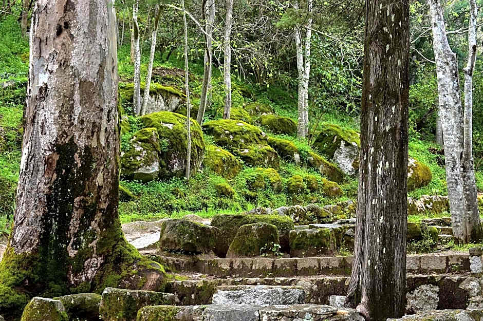 Villa Termal Spa Hotel - Villa Termal Spa Resort - by Unlock Hotels