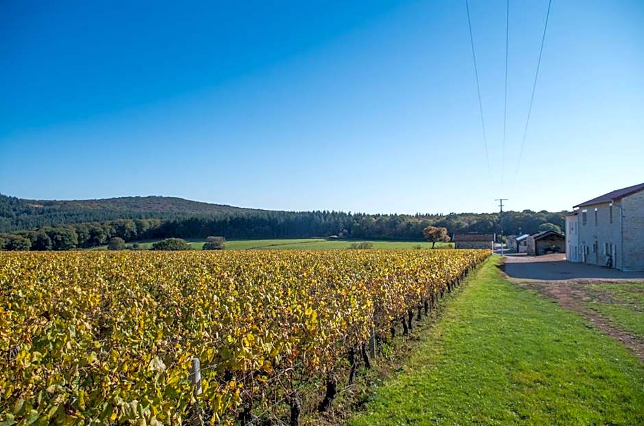 Domaine Joseph LAFARGE Wine Resort B&B