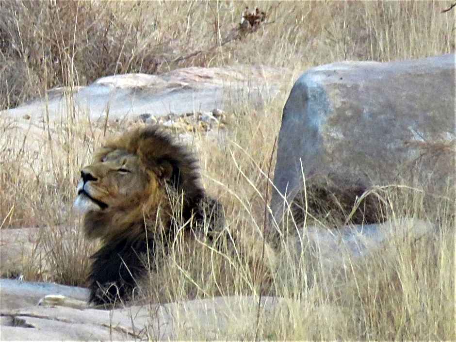 Sable Creek Safari Lodge