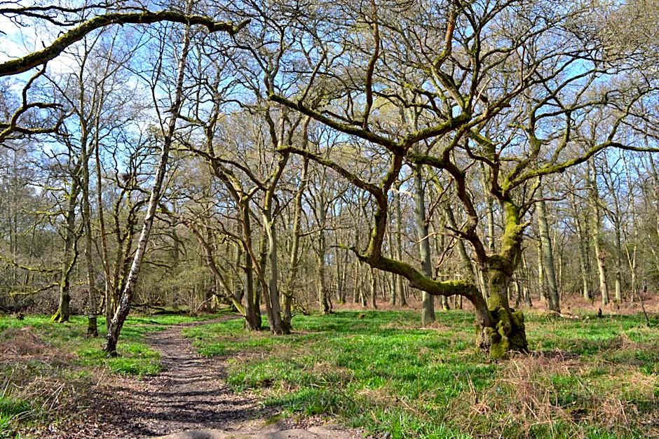 The Kingsley at Eversley