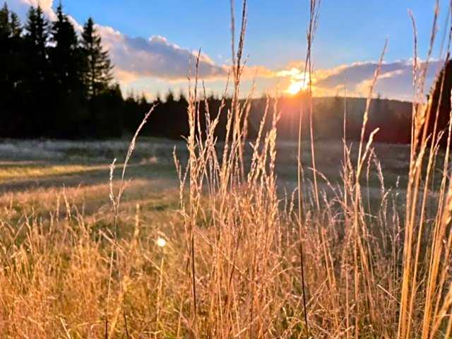 Abertamy Platz Apartments